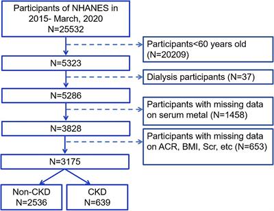 Uric acid mediates the relationship between mixed heavy metal exposure and renal function in older adult people